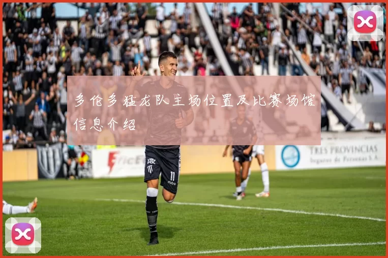 多伦多猛龙队主场位置及比赛场馆信息介绍