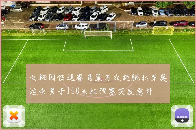 刘翔因伤退赛鸟巢万众扼腕北京奥运会男子110米栏预赛突发意外