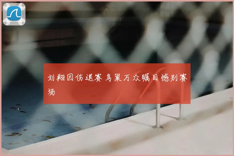刘翔因伤退赛鸟巢万众瞩目憾别赛场