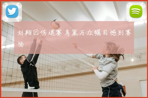 刘翔因伤退赛鸟巢万众瞩目憾别赛场