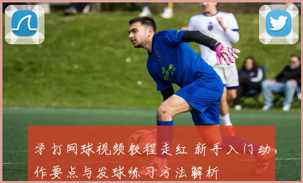 学打网球视频教程走红 新手入门动作要点与发球练习方法解析